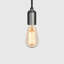 Squirrel 1 - Light Pendant-227942797