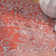Wachusett Performance Oriental Rug