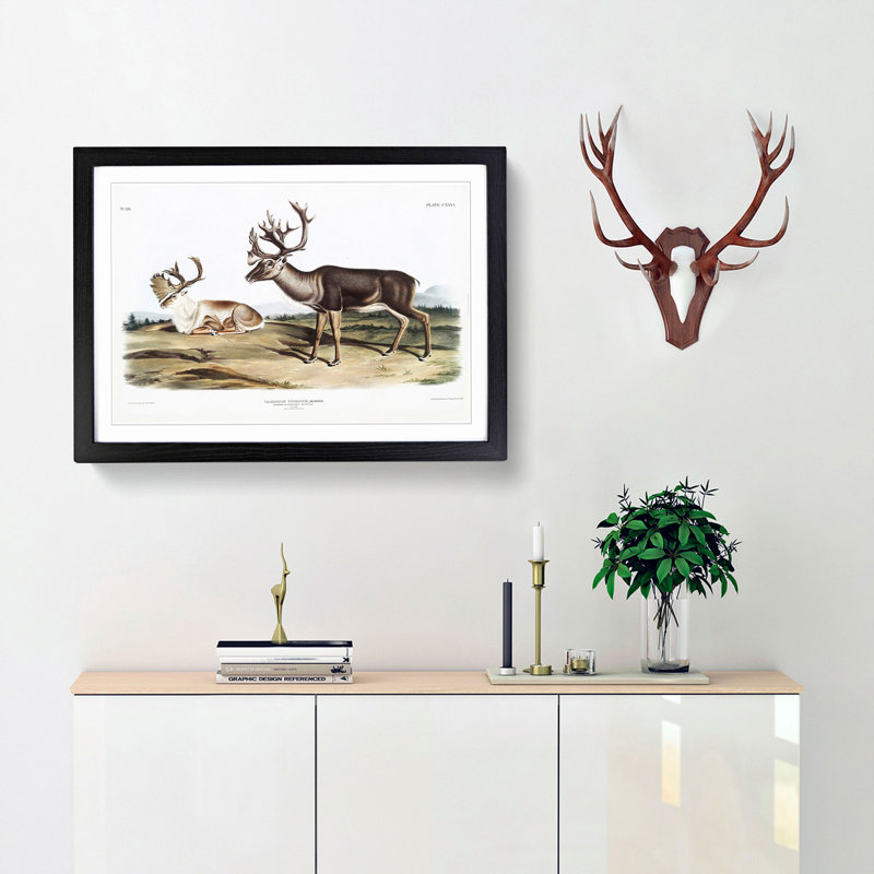 Caribou by J.W. Audubon - Picture Frame Graphic Art Print, 27cm H x 36cm W x 2cm D, Black Framed