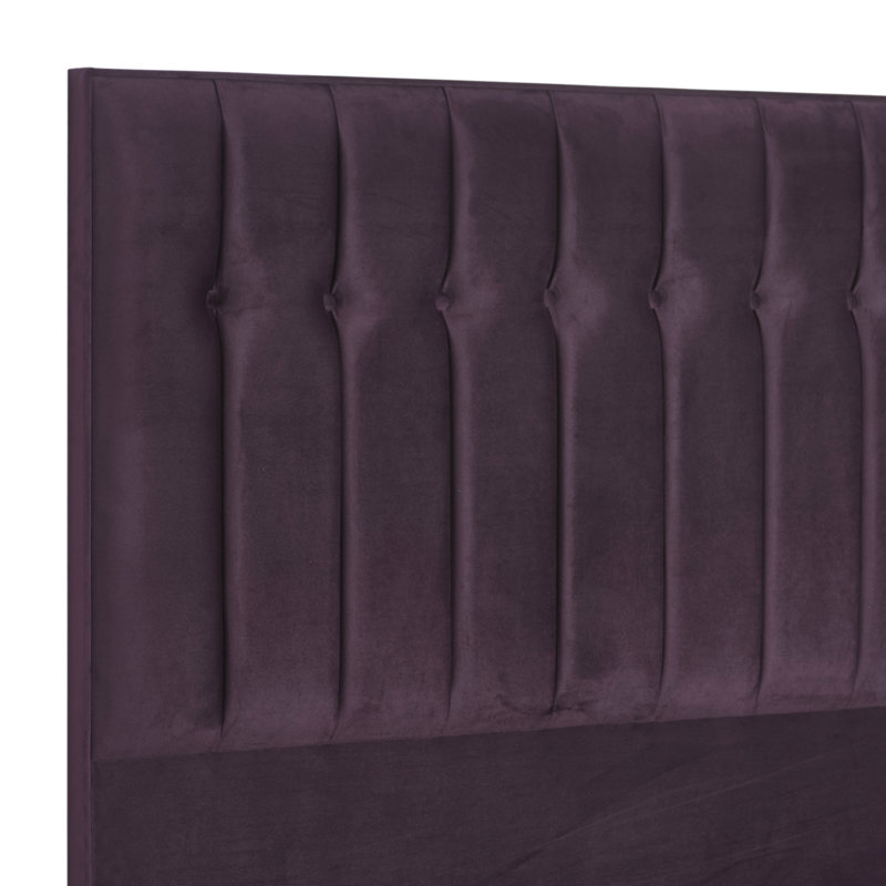 Robbins Upholstered Headboard, Single (3'), Plush Plum, Velvet