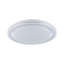Plastic Flush Ceiling Light