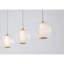 Agambir LED Chandelier