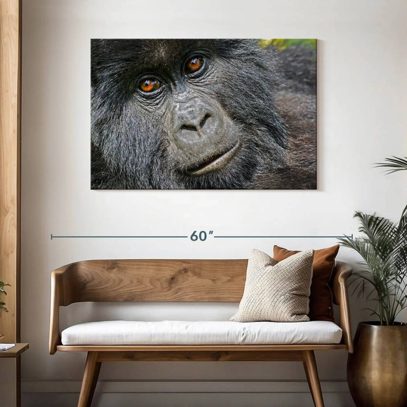 Gorilla Face, 30" H x 45" W