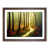 Walnut Framed selected