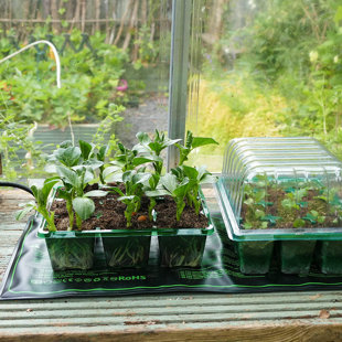 Gro-Sure Hydroponic Unit