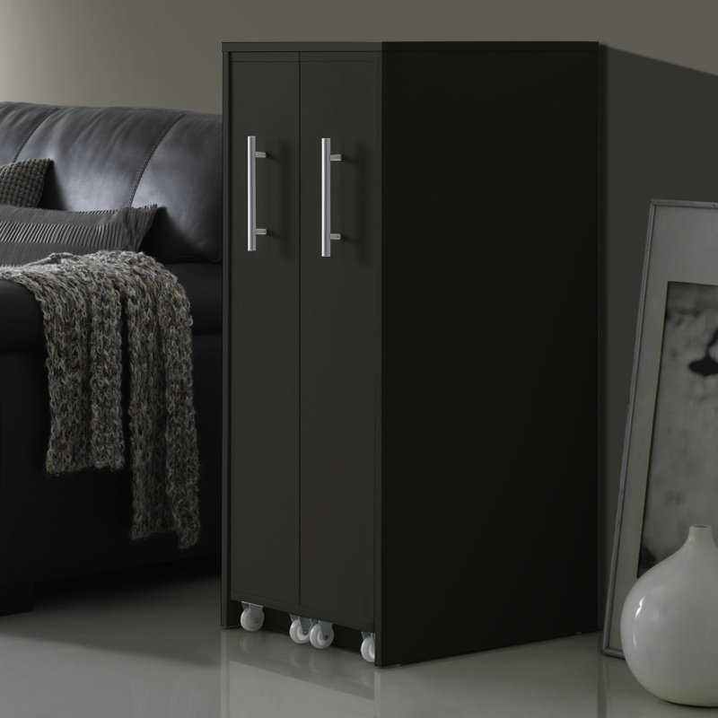Josielyn Storage Bookcase