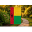 Drapeau de Guinée-Bissau — Drapeau extérieur-803495919