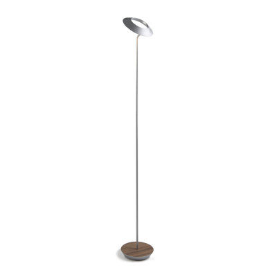 Royyo 45.5'' LED Novelty Floor Lamp