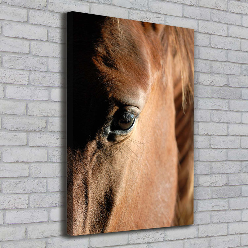Horse - Wrapped Canvas Print