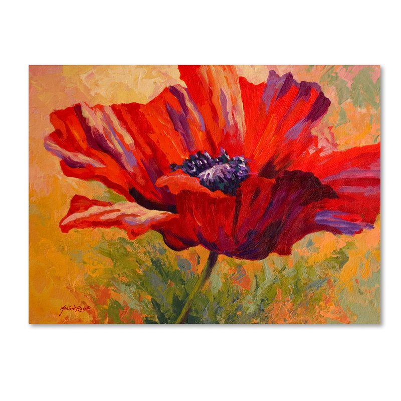 Modern & Contemporary, 14" H x 19" W x 2" D