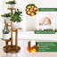 Amila Plant Stand