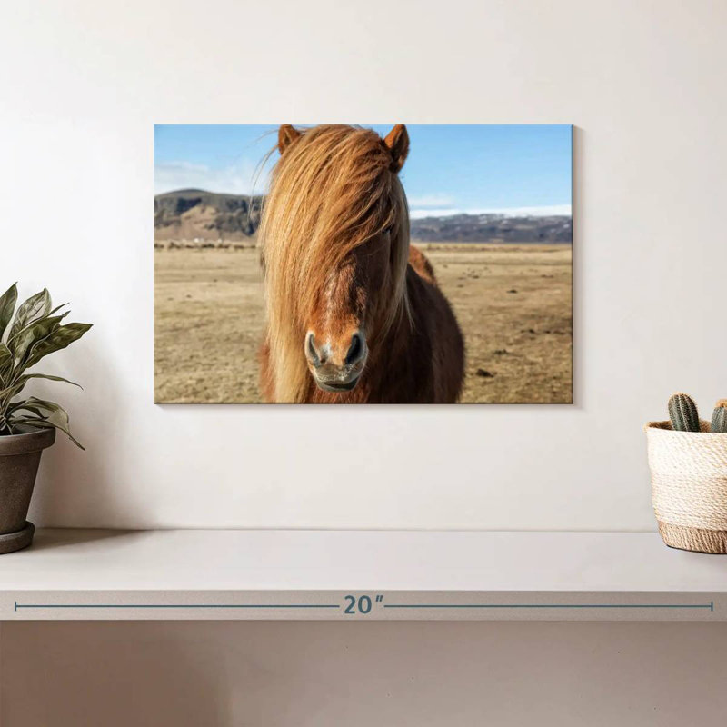 Chevaux Islandais dans la campagne VII, H 8 po x l 12 po
