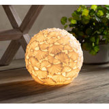 Resin Globe Lamp