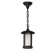 Meyda Lighting 1 - Light Old Wrought Iron Lantern Pendant | Wayfair