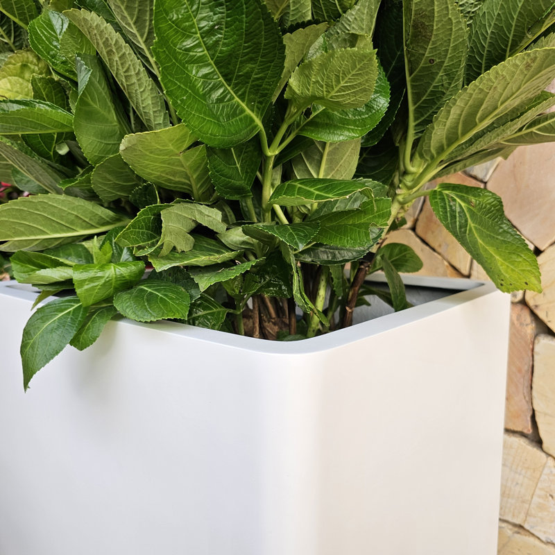 Pot à fleurs Kute Nest Elio Zen Fiberstone - blanc Santorini - H25 po, H 25 po x l 14 po x P 14 po, Blanc