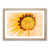 Oak Single Picture Frame Wood selected