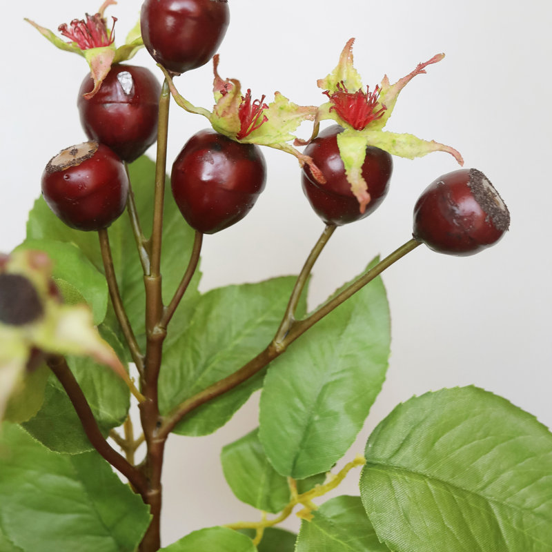 Montana Rose Hip Faux Floral, Red, 18" H x 6" W
