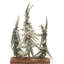 Byington Tabletop Tree