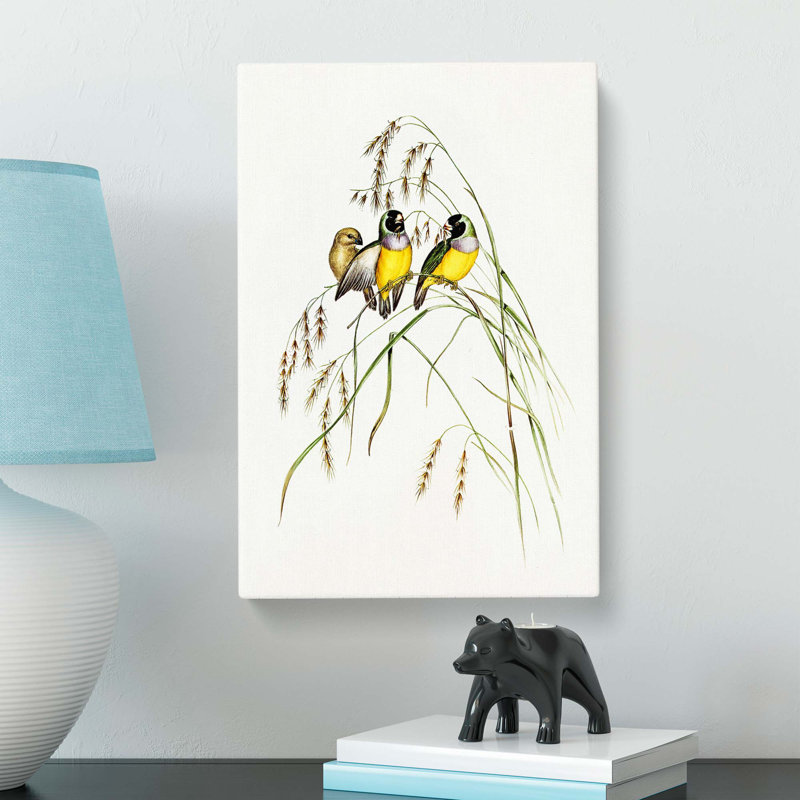 Gouldian Finch by Elizabeth Gould - Wrapped Canvas, 60cm H x 40cm W x 3cm D