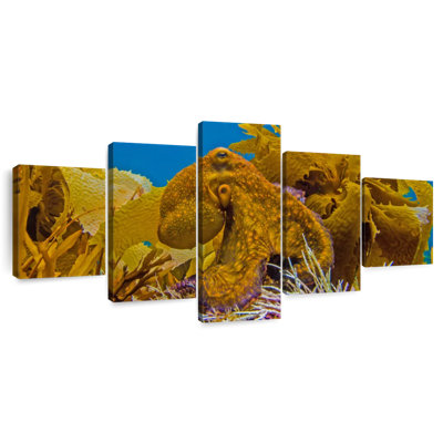 Reef Octopus And
