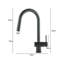 Belfry Kitchen Hockenberry Pull Out Kitchen Faucet