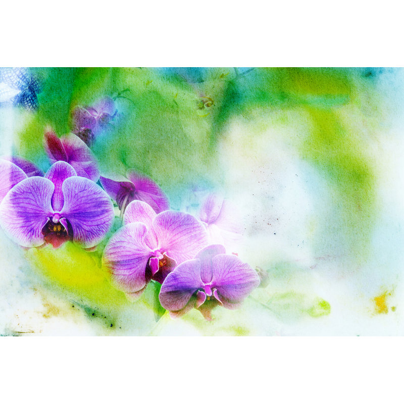 Blossom Phalaenopsis Orchid - Wrapped Canvas Painting, 61cm H x 91cm W x 3.8cm D