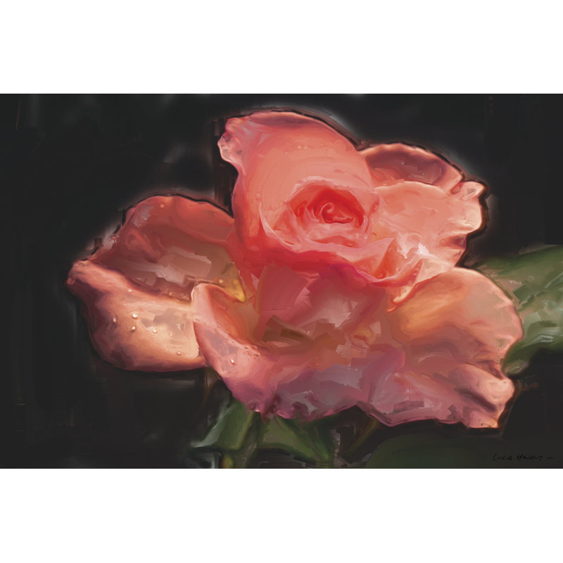 Painterly Flower IV - Wrapped Canvas Art Prints, 30cm H x 46cm W x 3.8cm D