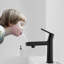 Robinet de lavabo de salle de bain monocommande en zinc-115744918