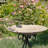 Emaliya Iron Birdbath