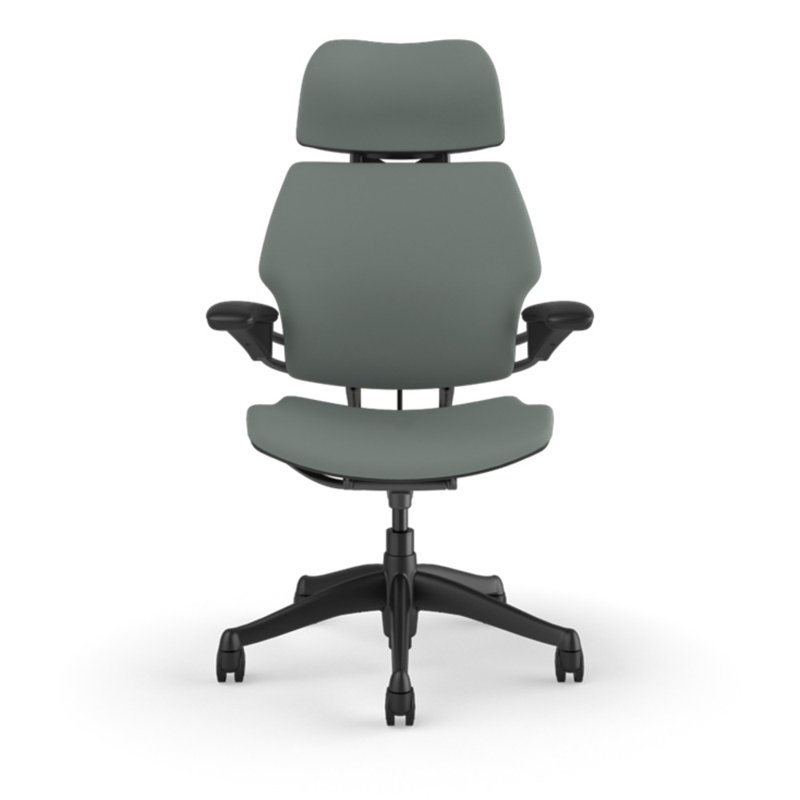 Freedom Headrest Ergonomic Task Chair - Lotus, Gray