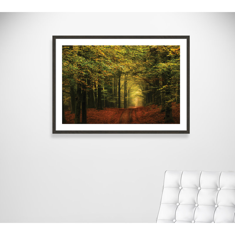 «Alvares A Forest Path», reproduction de photo encadrée