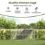 8m² Chicken Coop