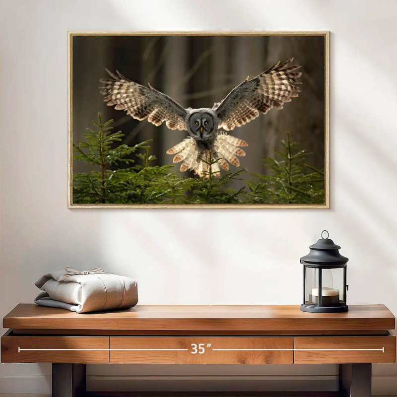 Hibou volant, Cadre flottant en bois naturel, 25 po x 17 po