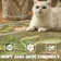 Animals Print Washable Ultra-Thin Non-Slip Area Rug