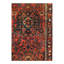 Oriental Area Rug