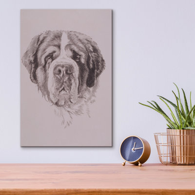 " St. Bernard " by Barbara Keith