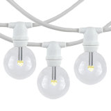 Outdoor 25 - Bulb 25'' Plug-in Globe String Light