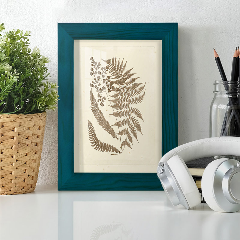 Meggan Sepia Ferns III, reproduction d'art encadrée, L 5 po x H 7 po x P 1 po, Bleu