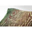 Woodgrain Rectangle Velvet Pillow Cover & Insert-42672732-42672802