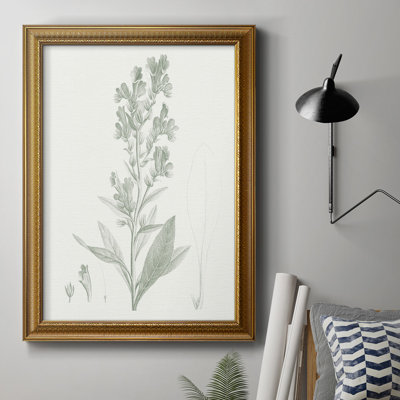 «Botanical Study In Sage III», toile encadrée de qualité supérieure - prête à être accrochée