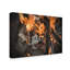 «Reverie of Fire», reproduction de photo sur toile tendue-31978406