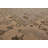 Multi Size Gray Hand Tufted Traditional Wool Oriental Area Rug-1286347844