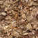 Daenerys Solid Colour Hand Woven Area Rug