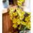 Silk Orchid Arrangement