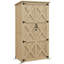 Abri de jardin en bois