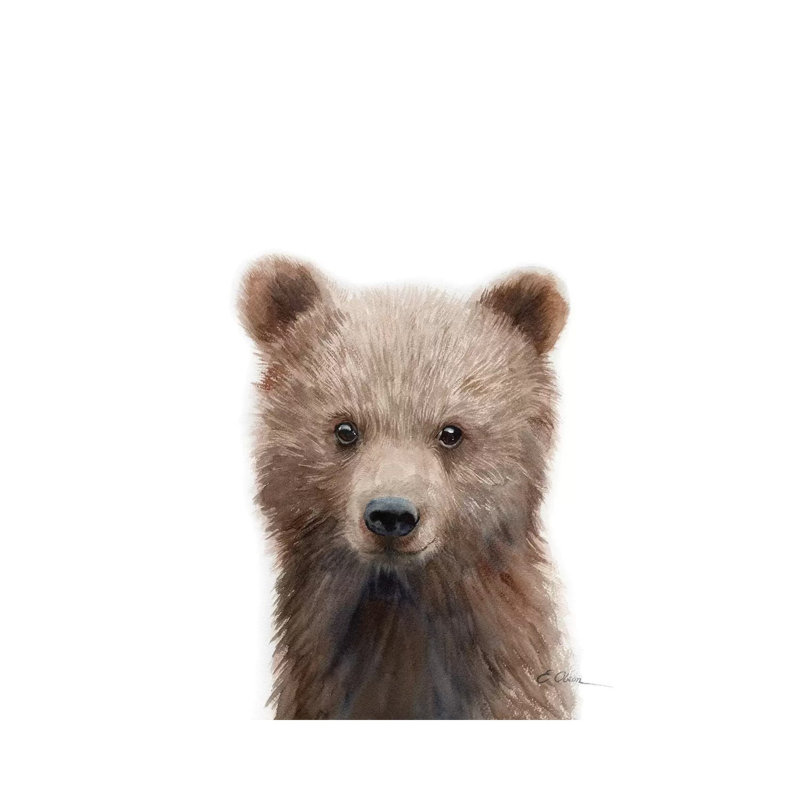 Grizzly Bear Cub - Wrapped Canvas Painting, 30.48 cm H x 45.72 cm W