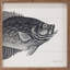 Crappie par Robin Sue Studio-1471025511