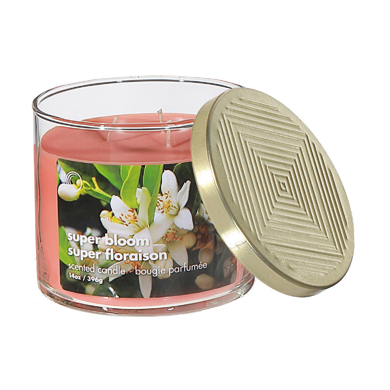 Ensemble de 2 bougies 14 oz 3 Wick Jar