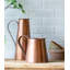 Calandra Pitcher
