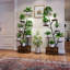 Plant Stand 2 Tier Set of 2
